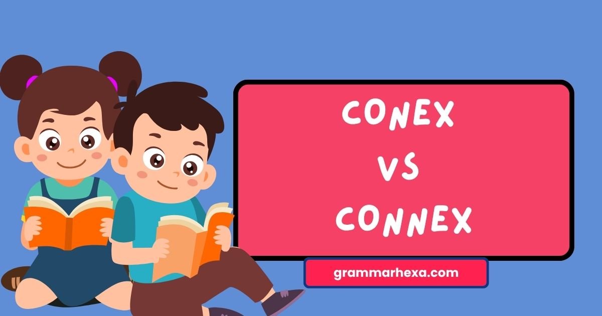 Conex vs Connex